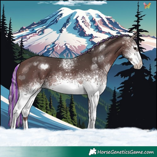 Horse Color:Painted White Spotted Silver Brown Tobiano 