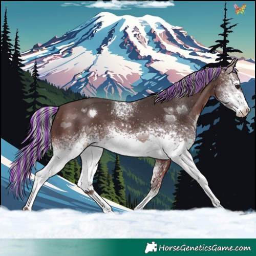 Horse Color:Painted White Spotted Silver Brown Tobiano 
