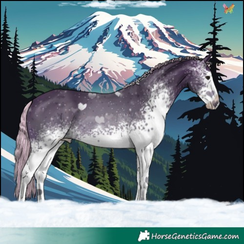 Horse Color:Painted White Spotted Silver Brown Tobiano 
