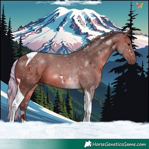 Horse Color:Painted Silver Brown Tobiano 