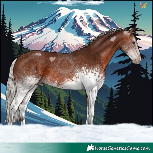 Horse Color:White Spotted Silver Brown 