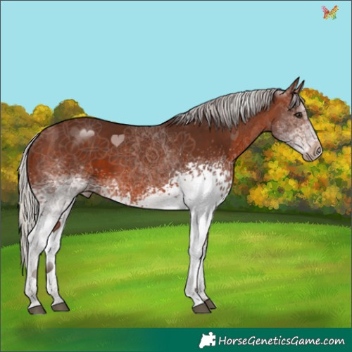 Horse Color:White Spotted Silver Brown 