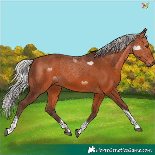 Horse Color:Silver Brown Tobiano 
