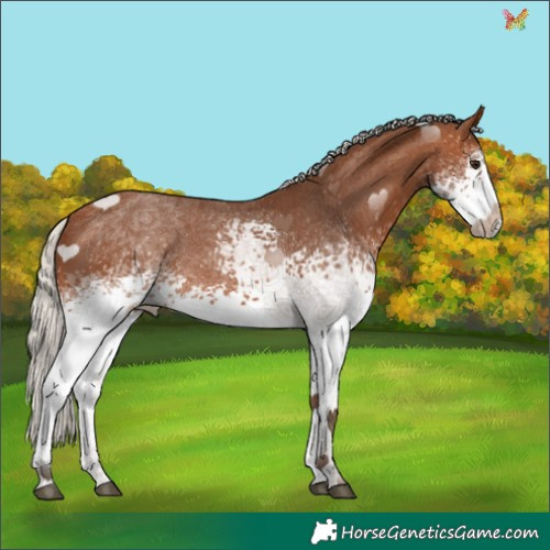 Horse Color:White Spotted Silver Brown 
