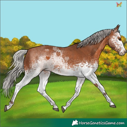 Horse Color:White Spotted Silver Brown 