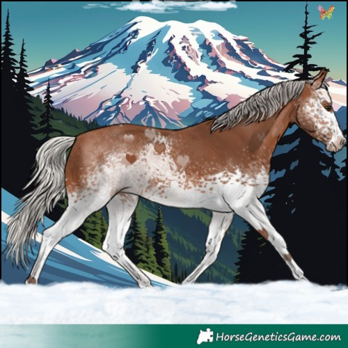 Horse Color:White Spotted Silver Brown 