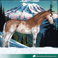 Horse Color:White Spotted Silver Brown 