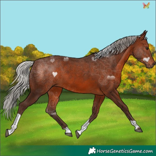 Horse Color:Silver Brown Tobiano