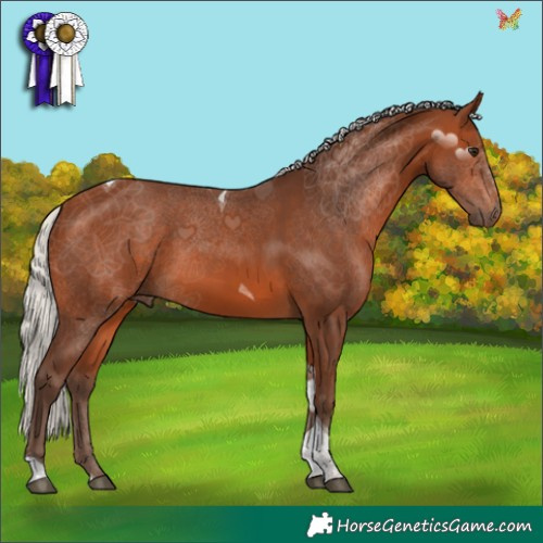 Horse Color:Silver Brown Tobiano 