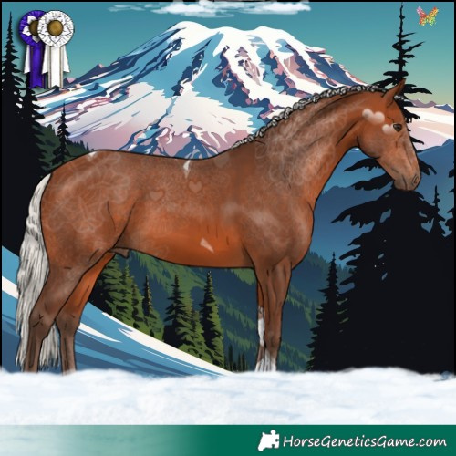 Horse Color:Silver Brown Tobiano 