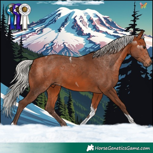 Horse Color:Silver Brown Tobiano 