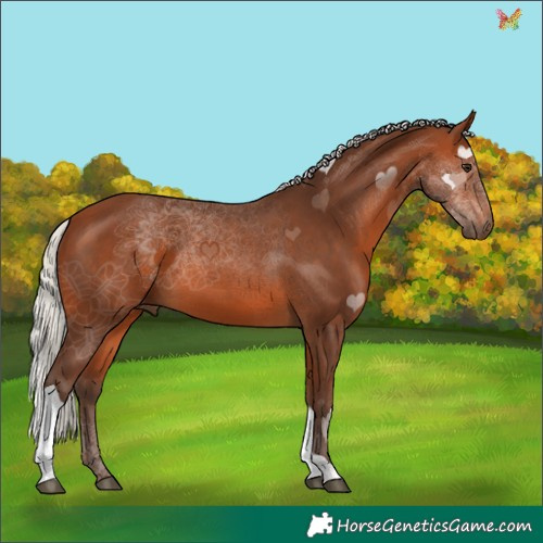 Horse Color:Silver Brown Tobiano 