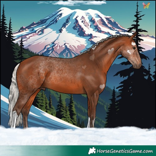 Horse Color:Silver Brown Tobiano 