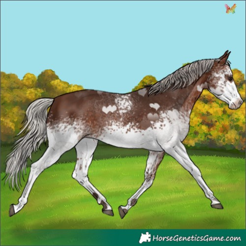 Horse Color:White Spotted Silver Brown 