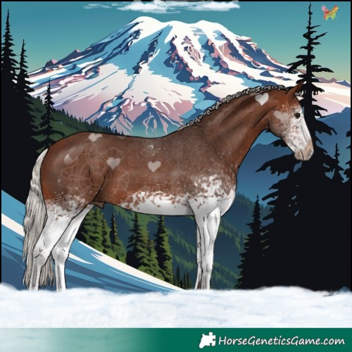 Horse Color:White Spotted Silver Brown 