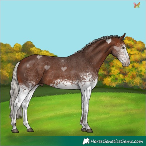 Horse Color:White Spotted Silver Brown 