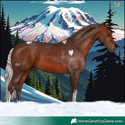 Horse Color:Silver Brown Tobiano 