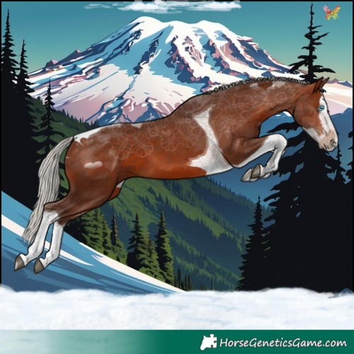 Horse Color:Silver Brown Splash Tobiano