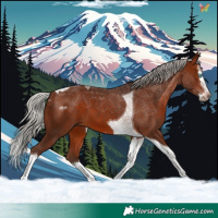 Horse Color:Silver Brown Splash Tobiano 