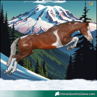 Horse Color:Silver Brown Splash Tobiano 