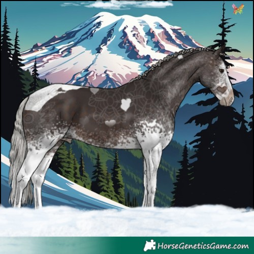 Horse Color:White Spotted Silver Brown Splash Tobiano 