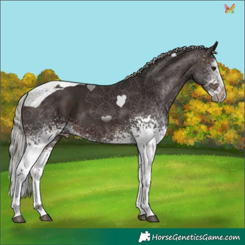 Horse Color:White Spotted Silver Brown Splash Tobiano 