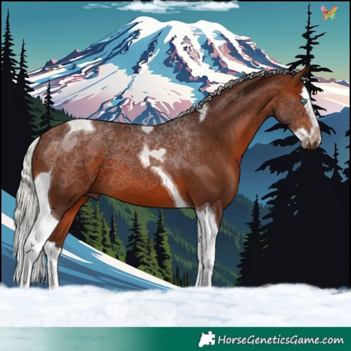 Horse Color:Silver Brown Splash Tobiano 