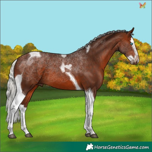 Horse Color:Silver Brown Splash Tobiano 