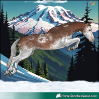 Horse Color:White Spotted Silver Brown Tobiano