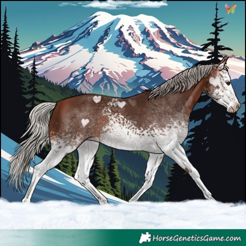 Horse Color:White Spotted Silver Brown 