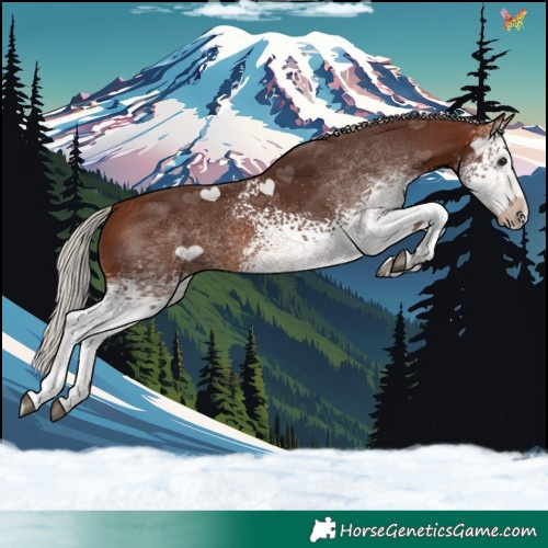 Horse Color:White Spotted Silver Brown