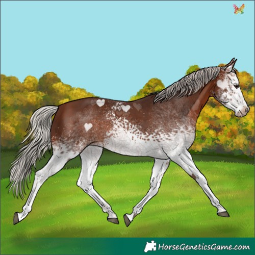 Horse Color:White Spotted Silver Brown 