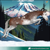 Horse Color:White Spotted Silver Brown 