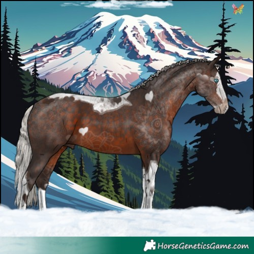 Horse Color:Silver Brown Splash Tobiano 