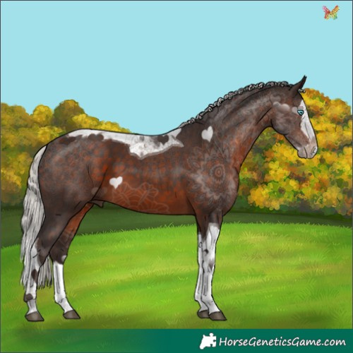 Horse Color:Silver Brown Splash Tobiano 
