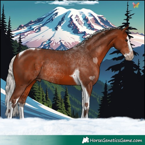 Horse Color:Silver Brown Splash Tobiano 
