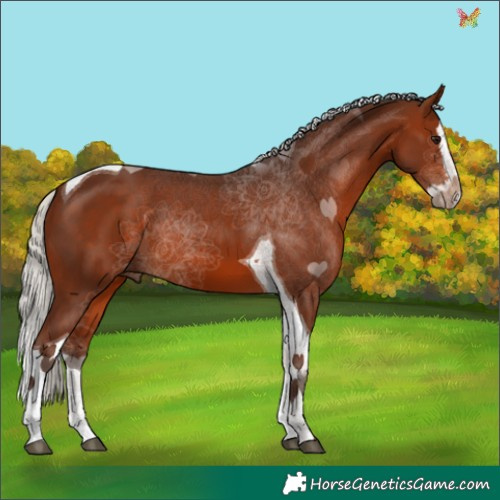 Horse Color:Silver Brown Splash Tobiano 