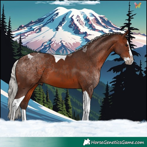 Horse Color:Silver Brown Splash Tobiano 