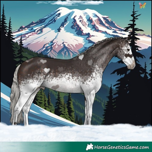 Horse Color:White Spotted Silver Brown 