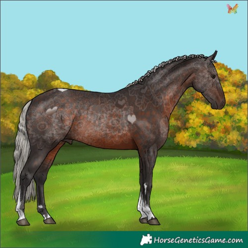 Horse Color:Silver Brown Tobiano 