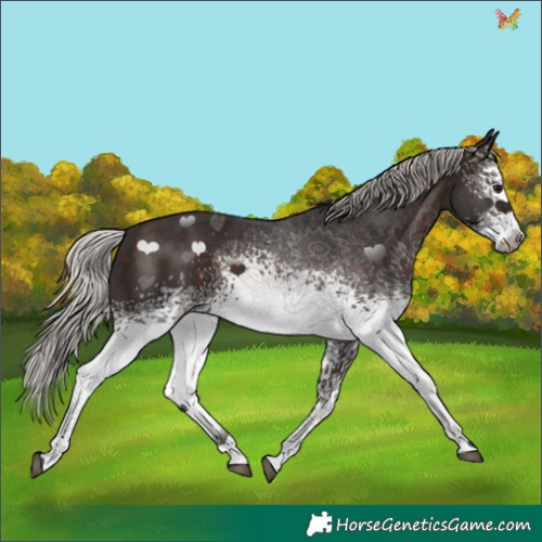 Horse Color:White Spotted Silver Brown 