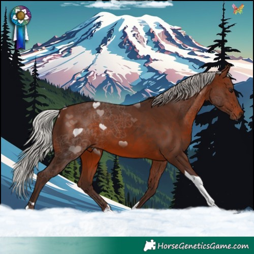 Horse Color:Silver Brown Tobiano 
