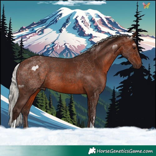 Horse Color:Silver Brown Tobiano 