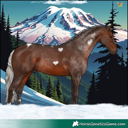 Horse Color:Silver Brown Tobiano 