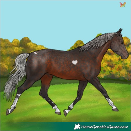 Horse Color:Silver Brown Tobiano 