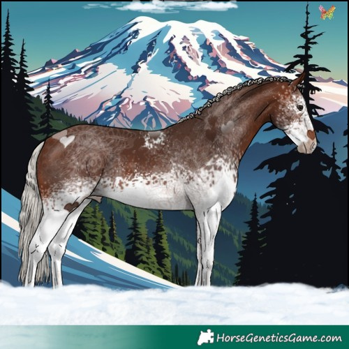 Horse Color:White Spotted Silver Brown 