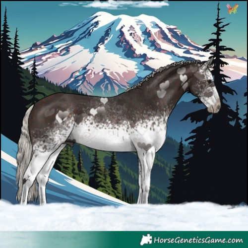 Horse Color:White Spotted Silver Brown 