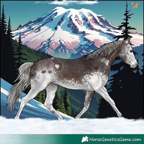 Horse Color:White Spotted Silver Brown 