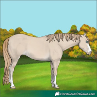 Horse Color:Smoky Creme Dun 