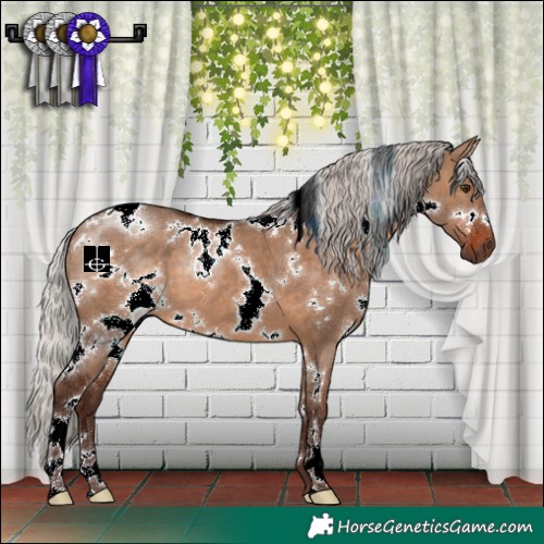 Horse Color:White Spotted Silver Brown Dun 